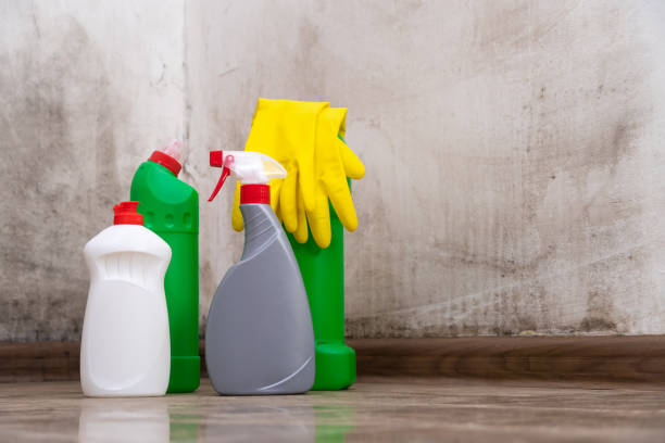 Why You Should Choose Our Mold Remediation Services in Washburn, IL